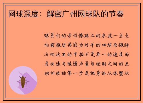 网球深度：解密广州网球队的节奏