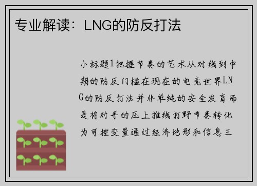 专业解读：LNG的防反打法